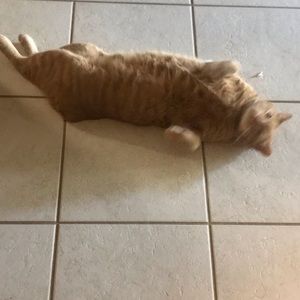 Meet your Posher, Kelly